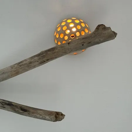 Fico D'india Διαμέρισμα