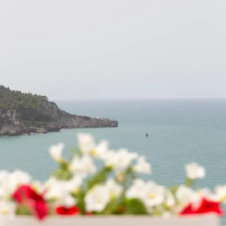 Fico D'india Διαμέρισμα